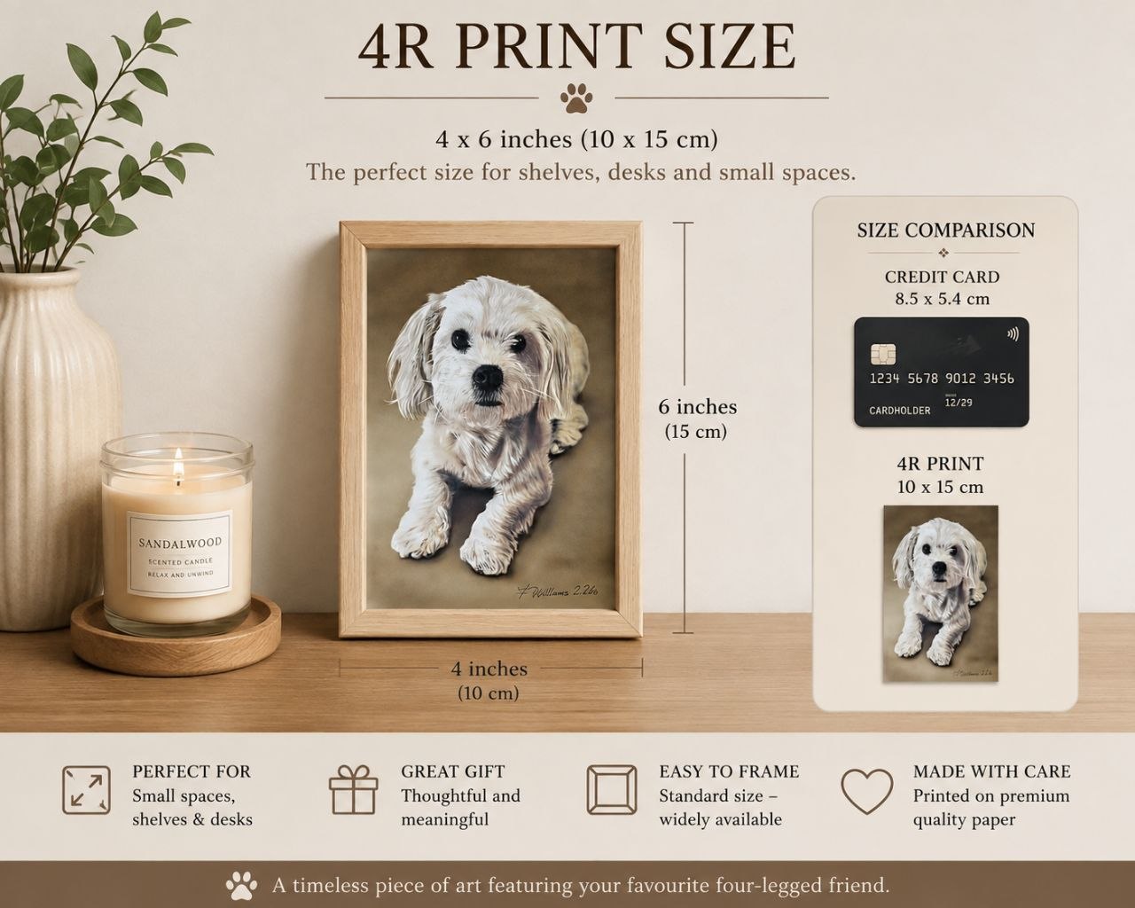 Billy The Cavachon Pikapoo 4 inch x 6 inch (4R) Giclee Print
