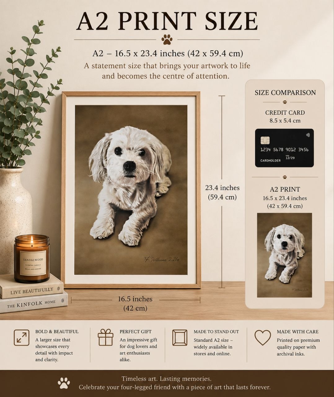 Billy The Cavachon Pikapoo A2