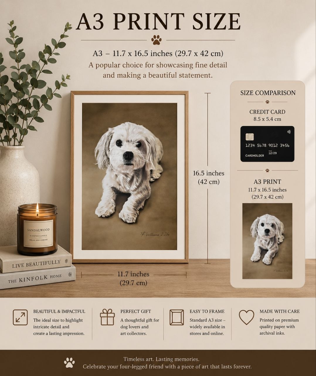 Billy The Cavachon Pikapoo A3