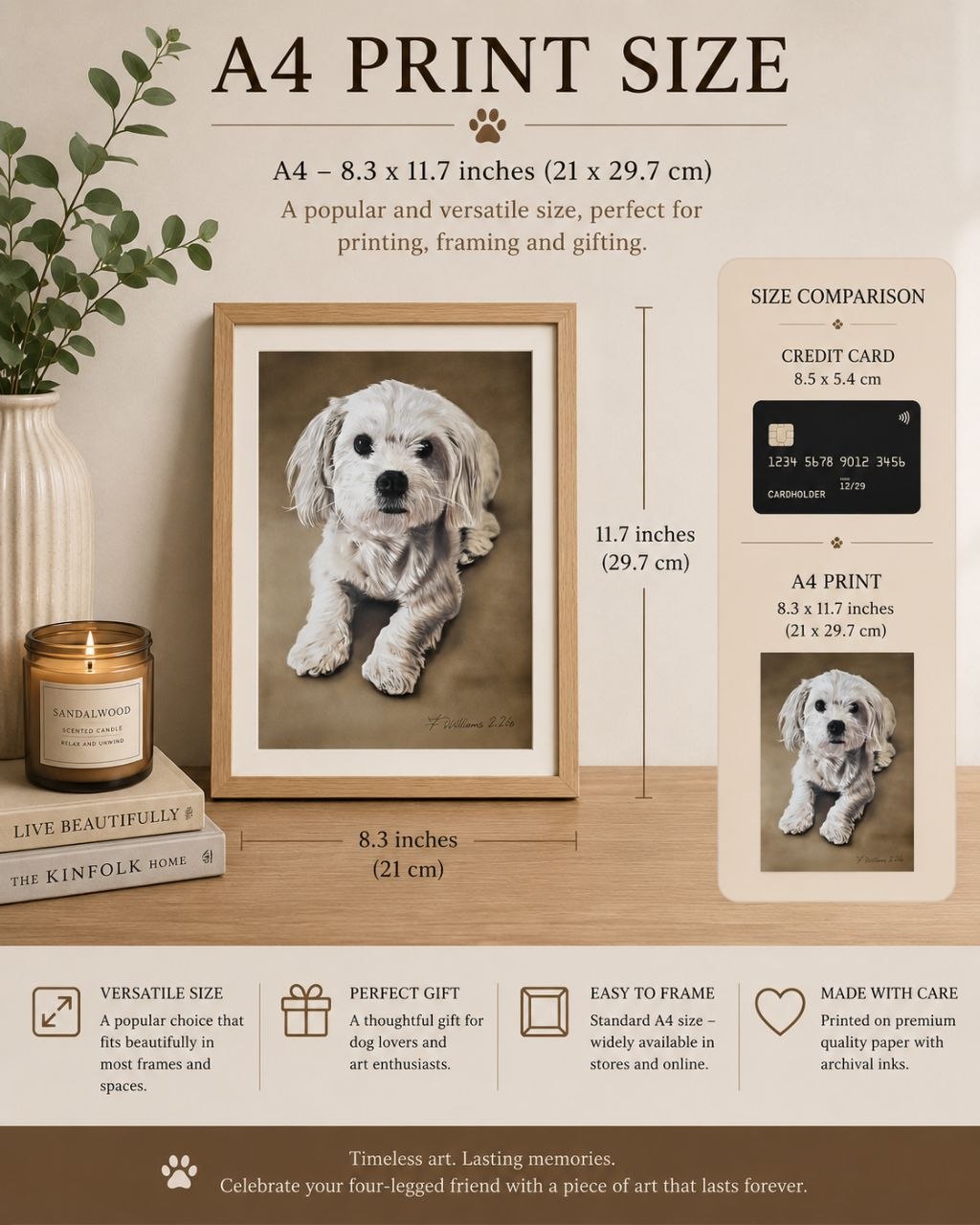 Billy The Cavachon Pikapoo 10 inch x 8 inch (A4) Print