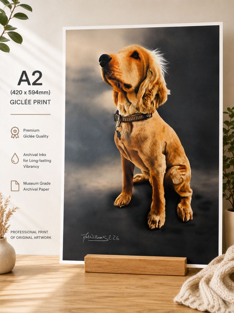 Chester The Cocker Spaniel A2