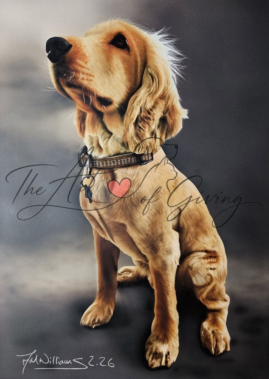 Chester The Cocker Spaniel 4 inch x 6 inch (4R) Print