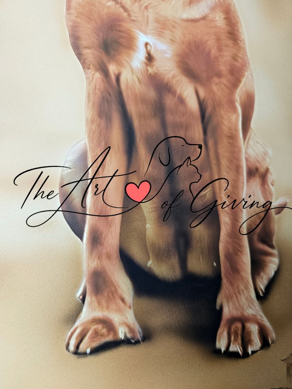 Airbrushed Painting of Rosa the 16 year old Labradors belly