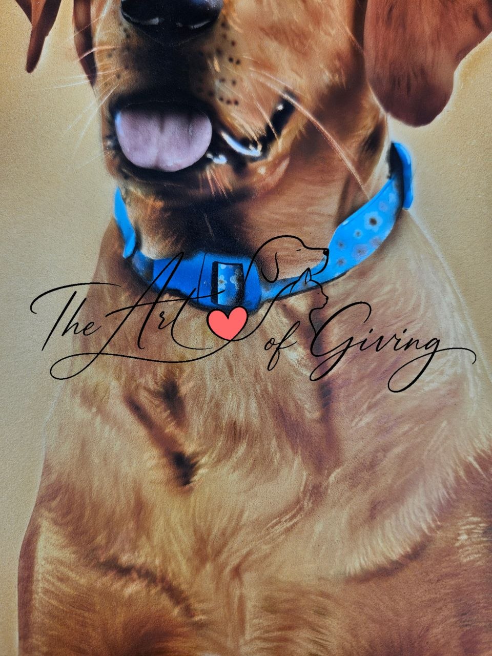 Airbrushed Painting of Rosa the 16 year old Labradors chest