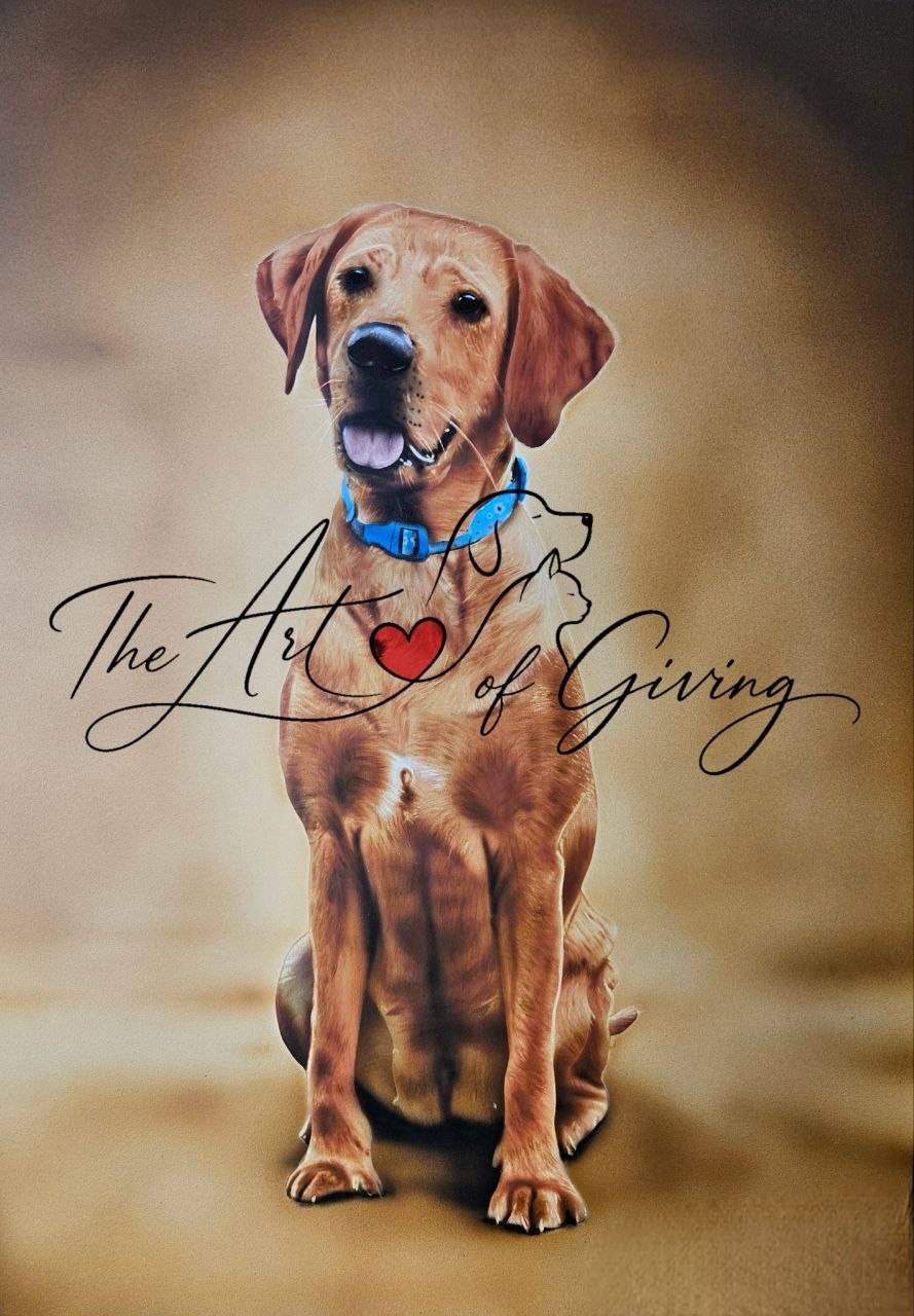 Airbrushed Painting of Rosa the 16 year old Labrador