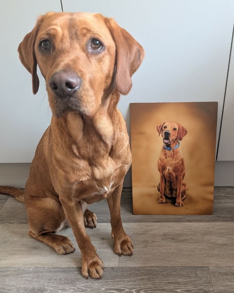 Rosa the Labrador standing next to the painting of her